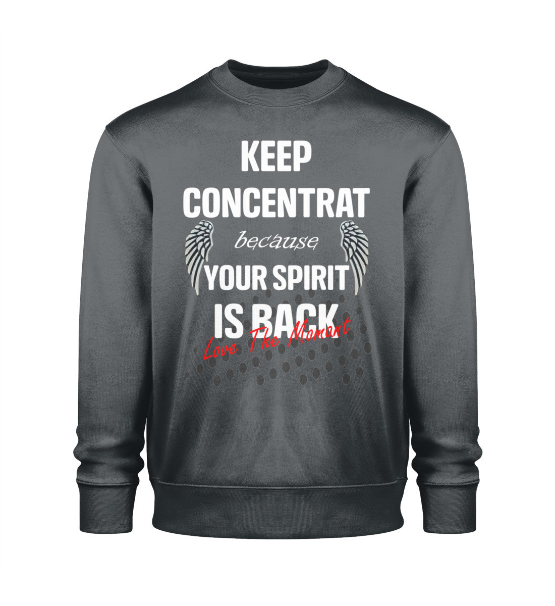 Nachhaltiges Organic Sweatshirt Herren in India Ink Grey-7147 von www.digiuliano.com